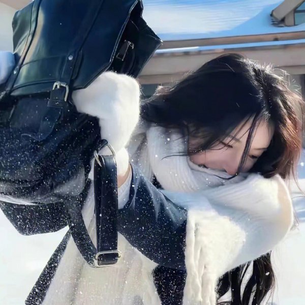 脂粉双枪侠